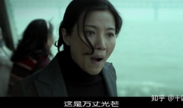 嫂子的职业电影,嫂子演绎银幕传奇