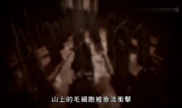 8090电影天堂网,重温经典，畅享影视盛宴