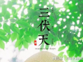 三伏天,盛夏酷暑的养生攻略与避暑秘籍