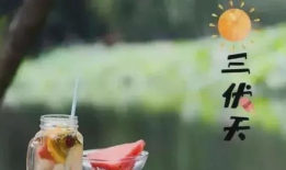 三伏天,盛夏酷暑的养生攻略与避暑秘籍
